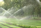 Sapphire Coastlandscaping-water-management-and-drainage-17.jpg; ?>